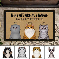 The Cats Are In Charge We Just Live Here Personalized Doormat DM-NB600
