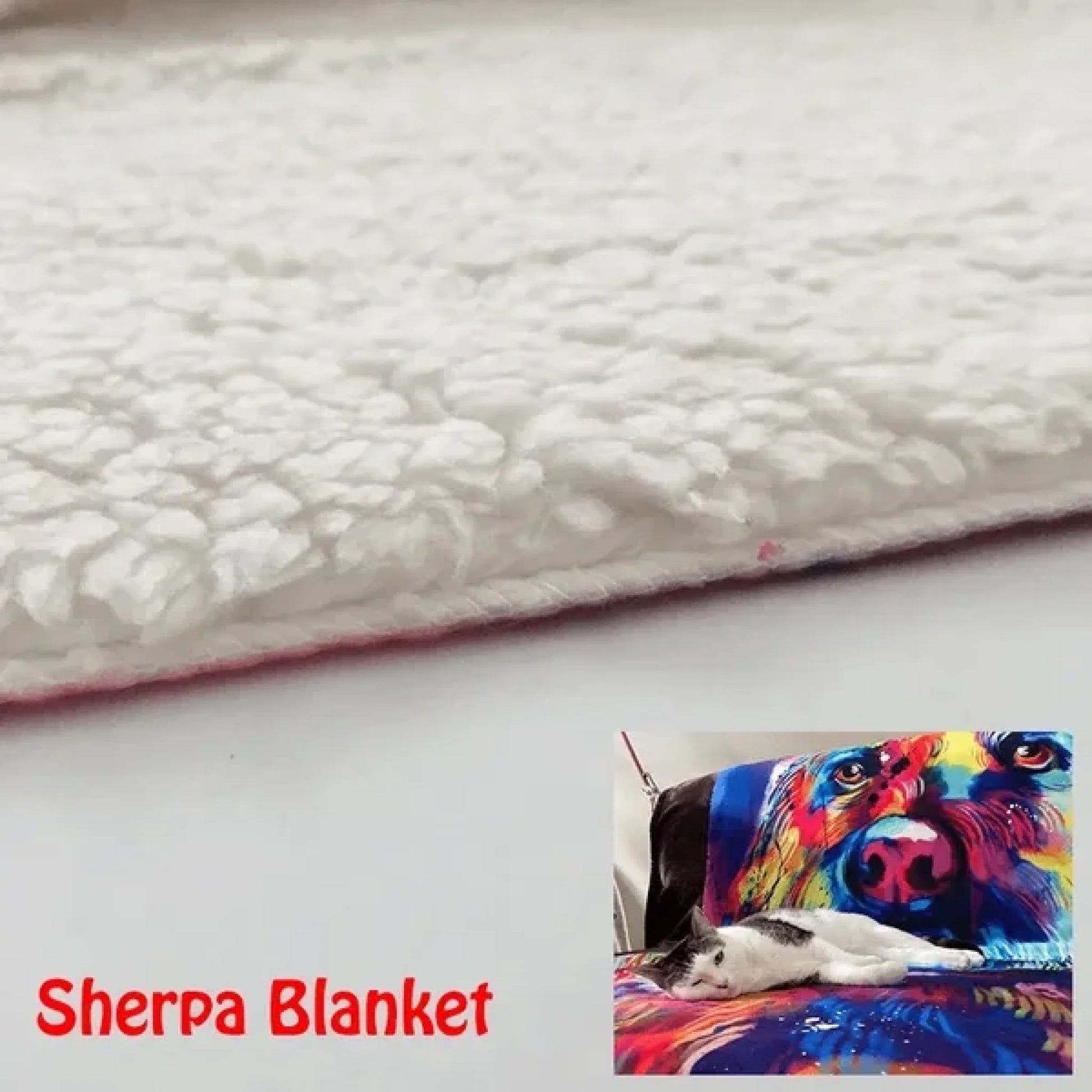 6569ab0b1076c_large
